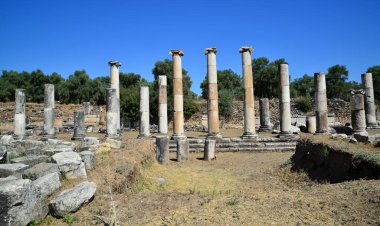 Nysa Antik Kenti, Türkiye 'nin Aydın kentinde turistler tarafından ziyaret edilen antik bir yerleşim yeri..