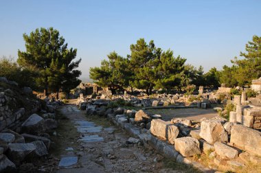 Antik Priene kenti Aydn, Türkiye 'de bulunan antik bir şehirdir..