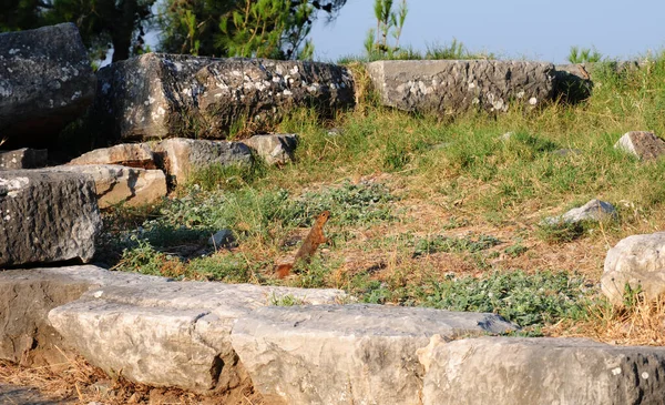 Antiikin Kaupunki Priene Ikivanha Kaupunki Sijaitsee Aydn Turkki — kuvapankkivalokuva