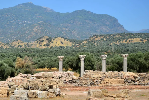 Αρχαία Πόλη Tralleis Είναι Ένας Αρχαίος Οικισμός Που Βρίσκεται Στο — Φωτογραφία Αρχείου