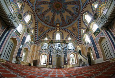 İstanbul hindisi. 19 Mayıs 2010. Türkiye 'nin Kasımpaşa ilçesinde yer alan Guzelce Kasim Paşa Camii 16. yüzyılda inşa edildi..