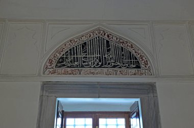 İstanbul hindisi. 18 Aralık 2010. İstanbul, Türkiye 'de yer alan Hadim Paşa Camii 16. yüzyılda Mimar Sinan tarafından inşa edildi..