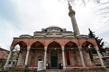 İstanbul hindisi. 18 Aralık 2010. İstanbul, Türkiye 'de yer alan Hadim Paşa Camii 16. yüzyılda Mimar Sinan tarafından inşa edildi..