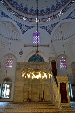 İstanbul hindisi. 18 Aralık 2010. İstanbul, Türkiye 'de yer alan Hadim Paşa Camii 16. yüzyılda Mimar Sinan tarafından inşa edildi..