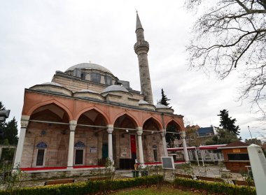 İstanbul hindisi. 18 Aralık 2010. İstanbul, Türkiye 'de yer alan Hadim Paşa Camii 16. yüzyılda Mimar Sinan tarafından inşa edildi..
