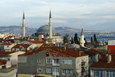 Yavuz Sultan Selim Mosque, located in Istanbul, Turkey, was built in 1522.