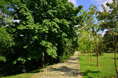 Atatürk Botanik, İstanbul, Türkiye 'de bulunan bir ağaç ve bitki müzesidir..