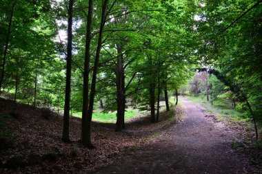 Atatürk Botanik, İstanbul, Türkiye 'de bulunan bir ağaç ve bitki müzesidir..