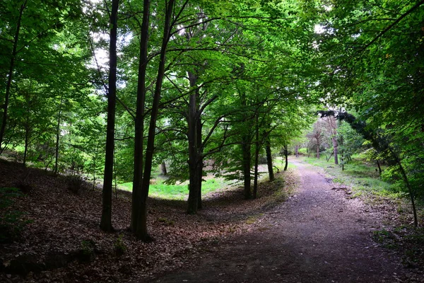 Atatürk Botanik, İstanbul, Türkiye 'de bulunan bir ağaç ve bitki müzesidir..