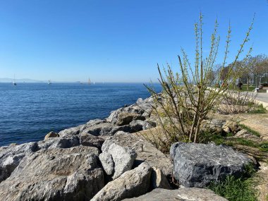 İstanbul 'dan görüntü