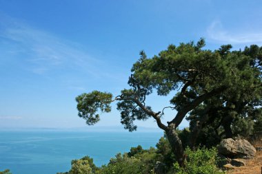 Büyükkada, İstanbul, Türkiye.