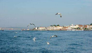 Büyükkada, İstanbul, Türkiye.