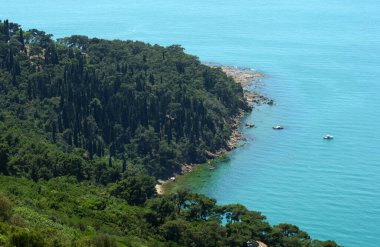 Büyükkada, İstanbul, Türkiye.
