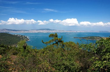 İstanbul adalarından bir manzara