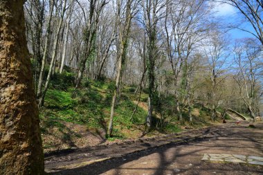 Bahcekoy, İstanbul, Türkiye 'de tarihi Valide Sultan Barajı.