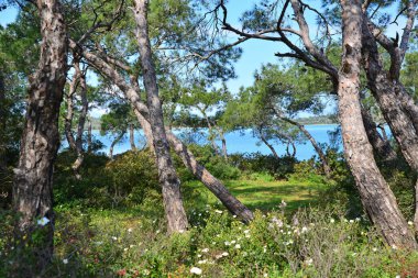 Türkiye 'nin Balikesir ilinin Ayvalk tatil beldesinden manzara