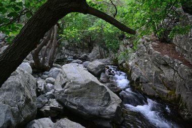 Türkiye 'nin Balikesir kentindeki Hasanboguldu Gölü ve Suteven Şelalesi bölgedeki en turistik yerler.