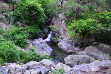 Türkiye 'nin Balikesir kentindeki Hasanboguldu Gölü ve Suteven Şelalesi bölgedeki en turistik yerler.