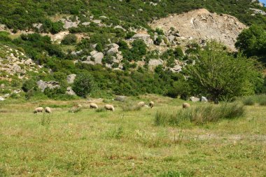 Türkiye 'nin Balikesir kentindeki Kapdağ Yarımadası manzarası