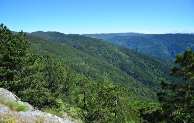 Türkiye 'nin Balikesir ilinde yer alan Kaz Dağları, zengin bitki örtüsü ve el değmemiş doğasıyla ülkenin en önemli dağıdır..