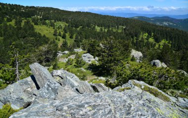 Türkiye 'nin Balikesir ilinde yer alan Kaz Dağları, zengin bitki örtüsü ve el değmemiş doğasıyla ülkenin en önemli dağıdır..