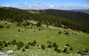 Kaz Mountains, located in Balikesir city of Turkey, is the most important mountain of the country with its rich vegetation and untouched nature. clipart