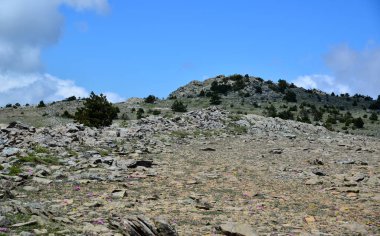 Türkiye 'nin Balikesir ilinde yer alan Kaz Dağları, zengin bitki örtüsü ve el değmemiş doğasıyla ülkenin en önemli dağıdır..