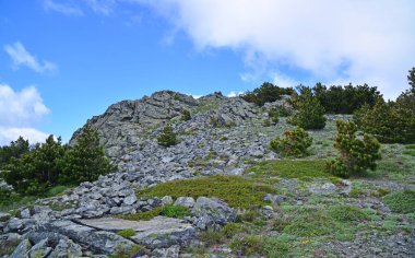 Türkiye 'nin Balikesir ilinde yer alan Kaz Dağları, zengin bitki örtüsü ve el değmemiş doğasıyla ülkenin en önemli dağıdır..