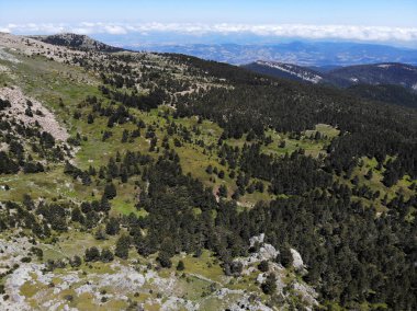 Kaz Mountains, located in Balikesir city of Turkey, is the most important mountain of the country with its rich vegetation and untouched nature. clipart