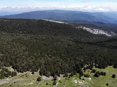 Türkiye 'nin Balikesir ilinde yer alan Kaz Dağları, zengin bitki örtüsü ve el değmemiş doğasıyla ülkenin en önemli dağıdır..