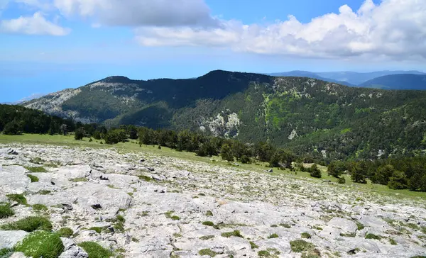 Türkiye 'nin Balikesir ilinde yer alan Kaz Dağları, zengin bitki örtüsü ve el değmemiş doğasıyla ülkenin en önemli dağıdır..