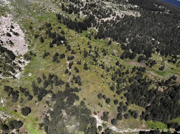 Stock image Kaz Mountains, located in Balikesir city of Turkey, is the most important mountain of the country with its rich vegetation and untouched nature.