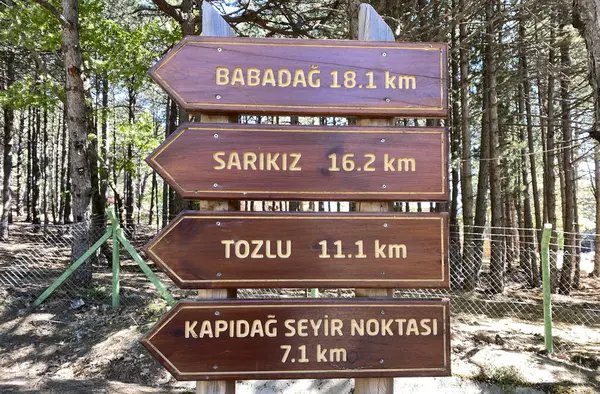 Türkiye 'nin Balikesir ilinde yer alan Kaz Dağları, zengin bitki örtüsü ve el değmemiş doğasıyla ülkenin en önemli dağıdır..