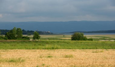 A view from the Manyas Lake Bird Sanctuary in Balikesir, Turkey clipart