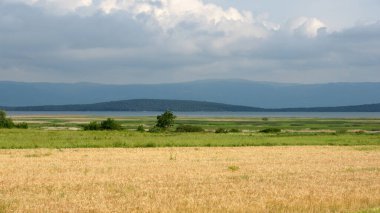 Türkiye 'nin Balikesir kentindeki Manyas Gölü Kuş Sığınağı manzarası