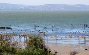 A view from the Manyas Lake Bird Sanctuary in Balikesir, Turkey clipart