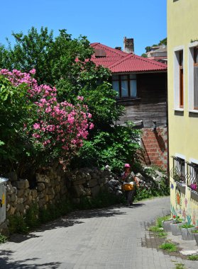Türkiye 'nin Amasra kentinden bir doğa sahnesi