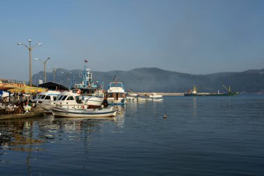 Türkiye 'nin Amasra kentinden bir doğa sahnesi