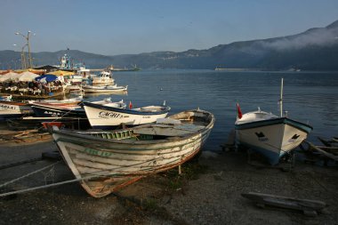 Türkiye 'nin Amasra kentinden bir doğa sahnesi