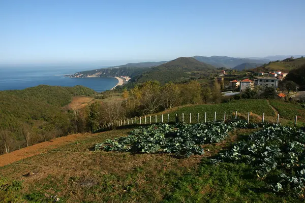 Türkiye 'nin Bartin kentindeki Guzelcehisar Kasabası' ndan bir manzara. Milyonlarca yıllık lav kayaları ve tarihi bir şatonun kalıntıları var..