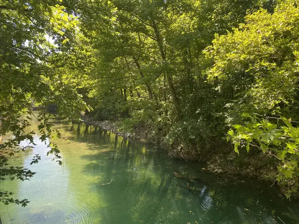 Ulukaya Kanyonu ve Şelale manzarası Ulus, Bartin, Türkiye