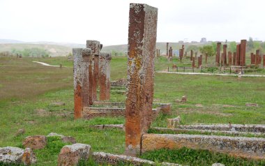 The Seljuk cemetery, located in Ahlat, Turkey, is an important tourism region.