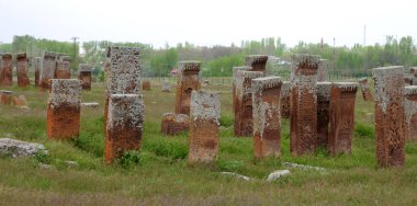 The Seljuk cemetery, located in Ahlat, Turkey, is an important tourism region.