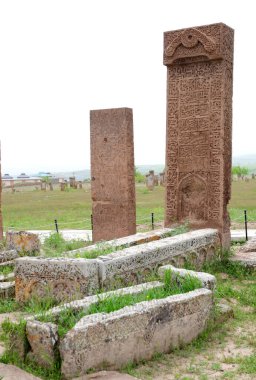 The Seljuk cemetery, located in Ahlat, Turkey, is an important tourism region.