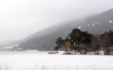 Türkiye 'nin Bolu kentindeki Abant Gölü