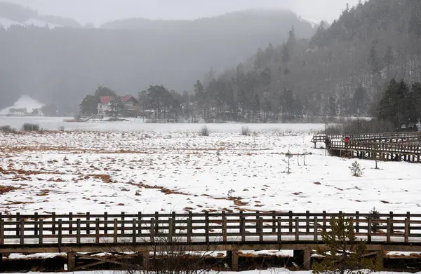 Türkiye 'nin Bolu kentindeki Abant Gölü