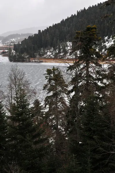 Türkiye 'nin Bolu kentindeki Abant Gölü