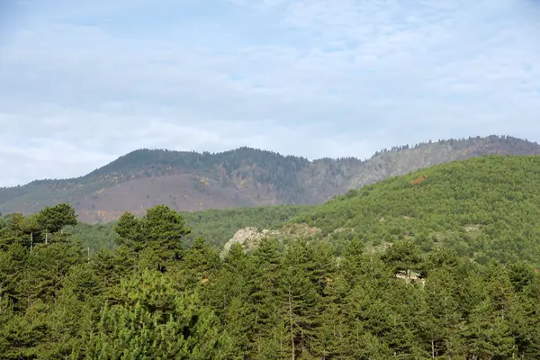 Türkiye 'nin Bolu köylerinden bir manzara