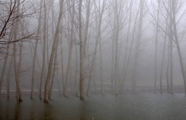 Türkiye 'nin Bolu kentinde Cubuk Gölü