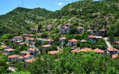 Türkiye 'nin Bolu kentinde yer alan Goynuk Kasabası, eski Osmanlı evleri ve tarihi eserleriyle önemli bir turizm kentidir..